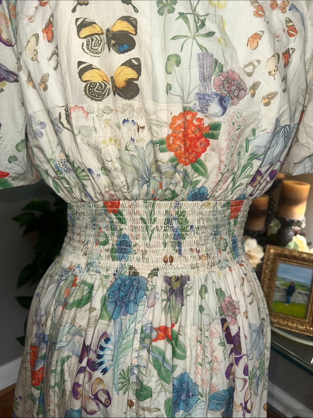 Anthropologie Katerina Button-Front Dress Floral Butterfly Print EUC small - Picture 8 of 16